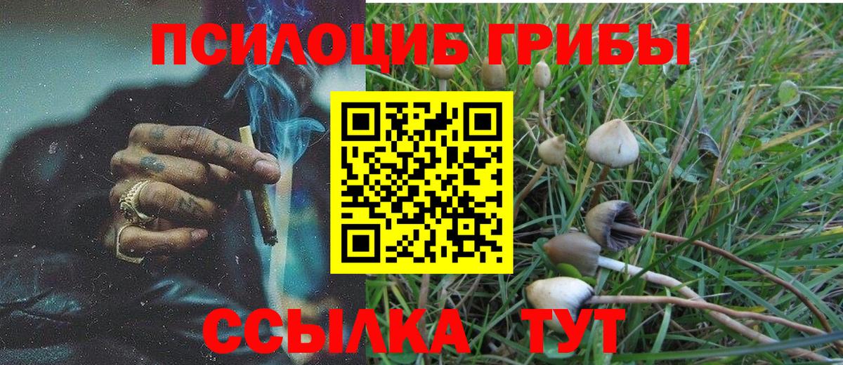 Галлюциногенные грибы мухоморы Сухой Лог